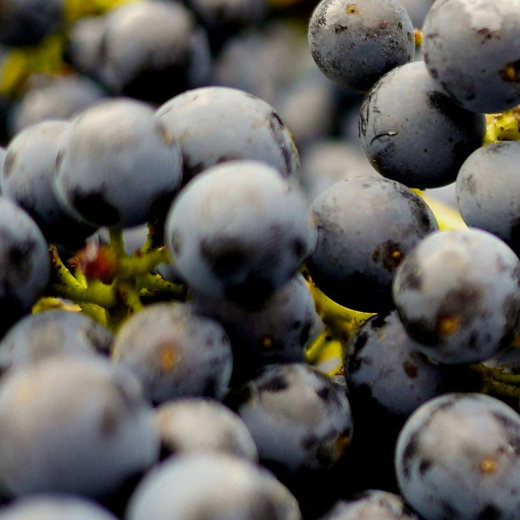 Resveratrol: El ingrediente natural que necesitas en tu crema antiedad para hombre